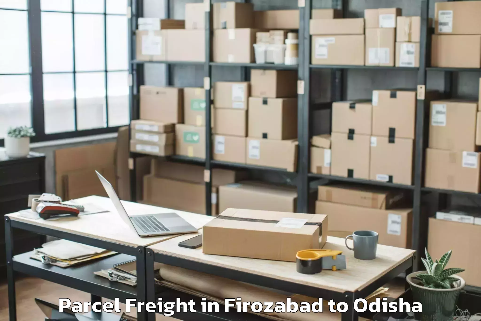 Professional Firozabad to Brajarajnagar Parcel Freight